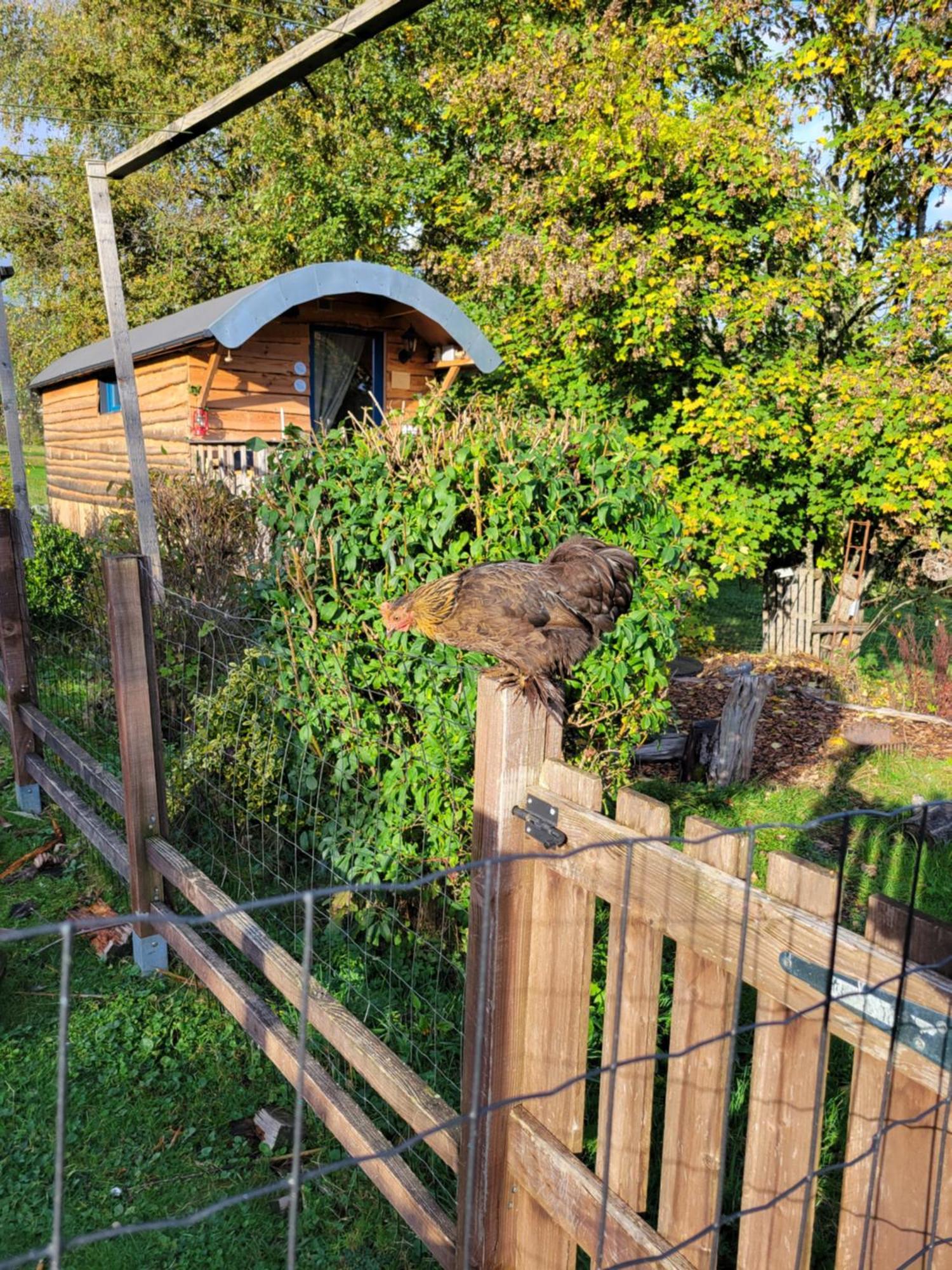 La Roulotte Tiny House Du Mond'Ideal Leval  Bilik gambar